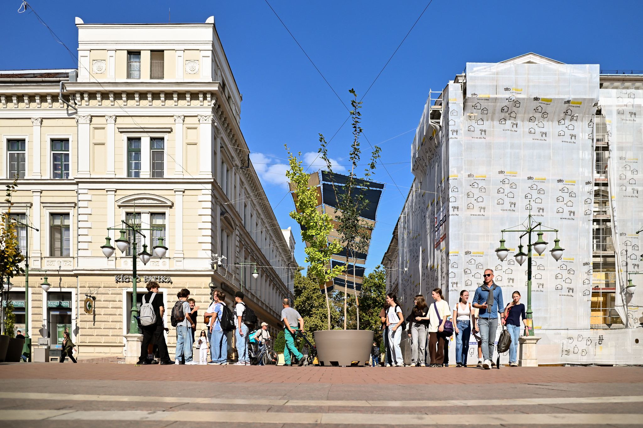 Átsétáltak a Klauzál tér fái a Dugonics térre